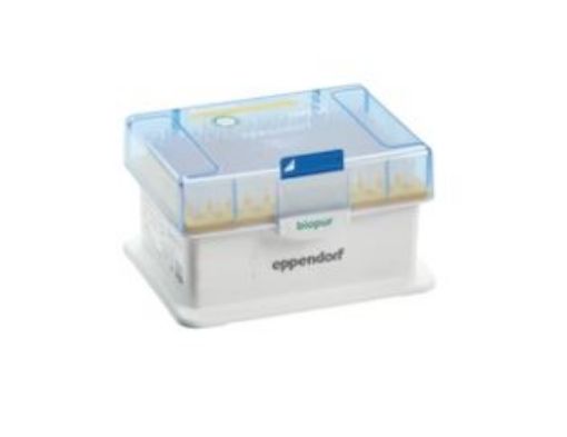 Picture of epT.I.P.S. Racks, Biopur, 20-300 µL, orange, 480 tips (5 racks × 96)