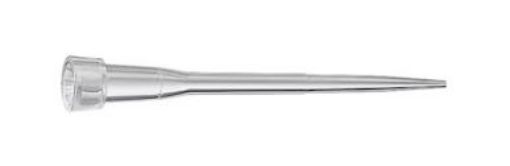 Picture of epT.I.P.S. Singles, Biopur, 0.1-20µL, 100 tips, individually wrapped (previously 0030010019)