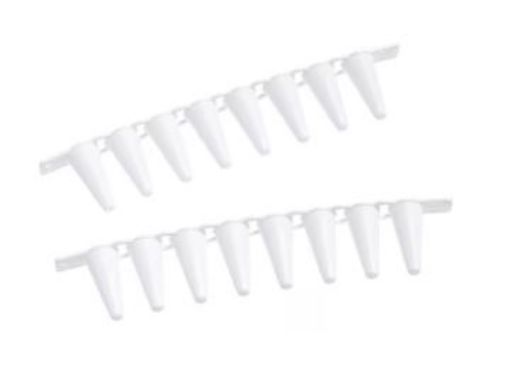 Picture of real-time PCR Tube Strips, without caps, 120 pcs. (10 × 12 pcs.)