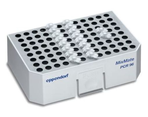 Picture of Tube Holder PCR 96, for 96 × 0.2 mL PCR tubes, PCR strips or 1 × 96-well PCR plate, semi-skirted or unskirted