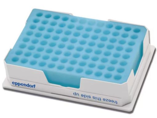 Picture of PCR-Cooler 0.2 mL, Blue