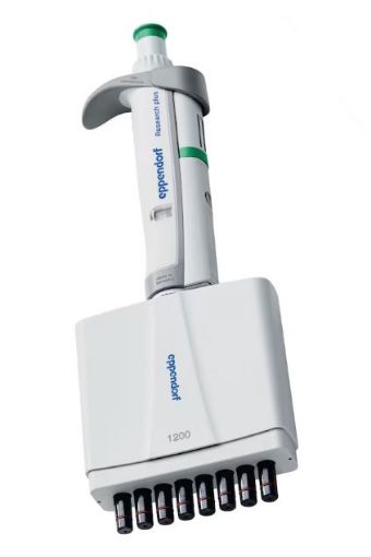 Research plus G 120-1200µL/8-ch