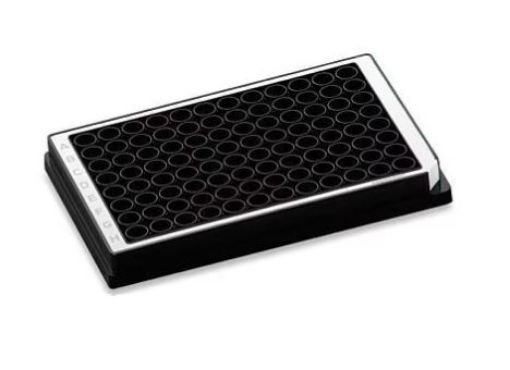 Microplate 96/U, wells black, PCR clean, white, 80 plates (5 bags × 16 plates)