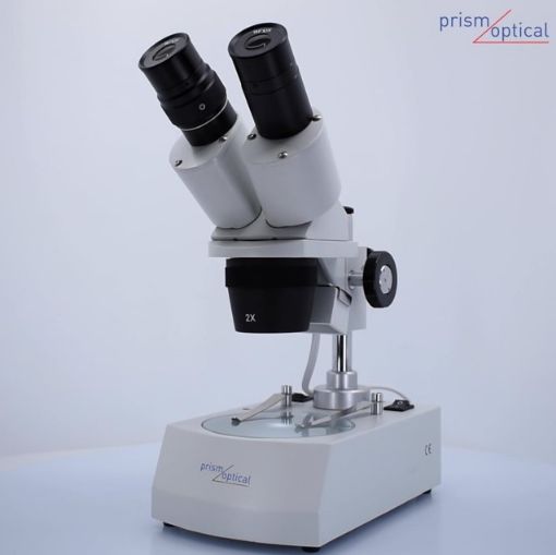 Picture of Stereoscopic Microscope, Student, with 2x and 4x objectives and 10x eyepieces