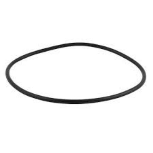 Picture of Newton's Colour Disc, Spare Belt Only