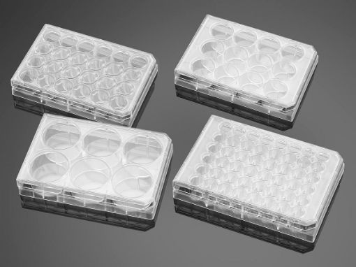 Picture of Corning Costar 24 Well Clear Cell Culture Treated Microplates, Individually Wrapped, Sterile, Pack of 50