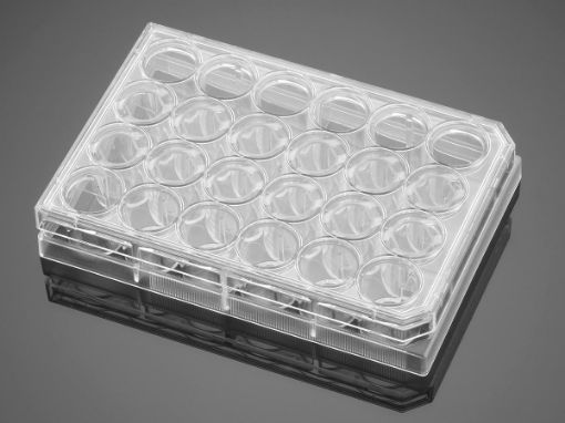 Picture of Falcon 24 well Clear Flat Bottom TC-Treated Cell Culture Plate, with lid, sterile, 1/Pack, 50/Case