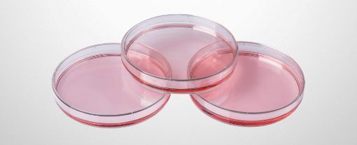 Picture of Dish petri 90x15mm PS manual vented box 500