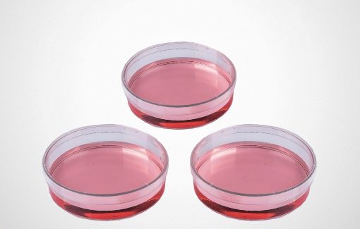 Picture of Dish petri 90x20mm PS sterile vented box 240