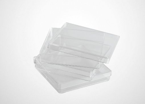 Picture of Dish petri 100x100mm PS square box 224