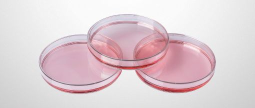 Picture of Dish petri 90 x 15mm PS vented 500pcs