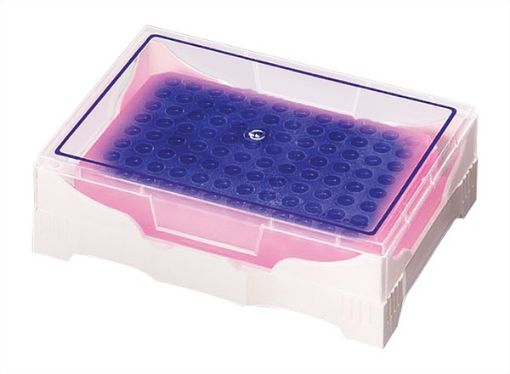 Picture of IsoFreeze PCR Rack, Purple to Pink, 2 racks per pack