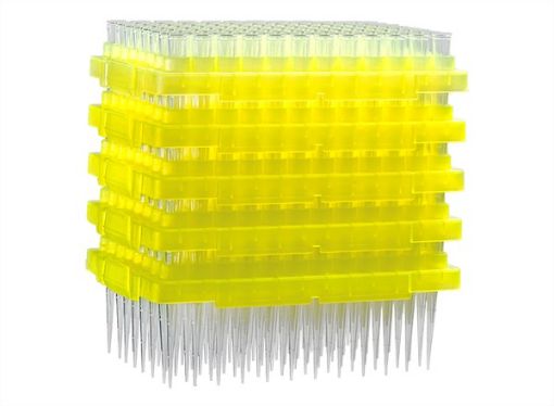 Picture of 300µL EcoPac Benchtop Low-Retention Refills, 2 x 5 Reloads, 960 tips per pack