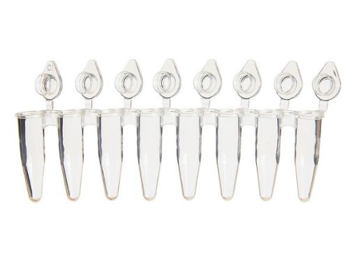Picture of 8-Strip Tubes with Individually-Attached Flat Caps, Clear, 120 strips per pack