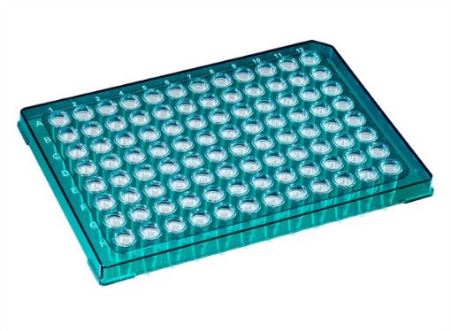 Picture of 96-W Semi-Skirt 0.2mL Rigid PCR Plate, GRN Frame/CLR Wells, 10 per pack