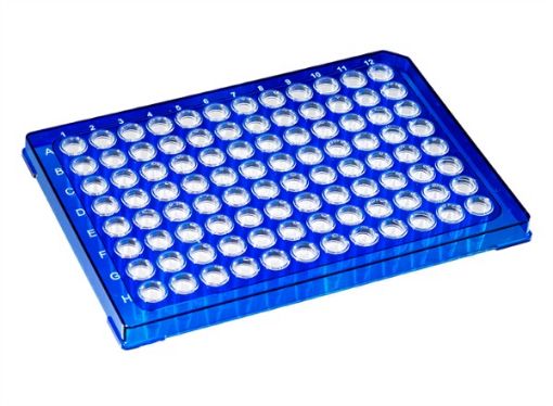 Picture of 96-W Semi-Skirt 0.2mL Rigid PCR Plate, BLU Frame/CLR Wells, 10 per pack