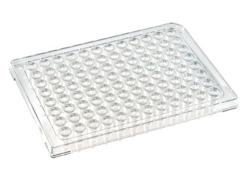 Picture of 96-W Semi-Skirt 0.2mL Rigid PCR Plate, CLR Frame/CLR Wells, 10 per pack