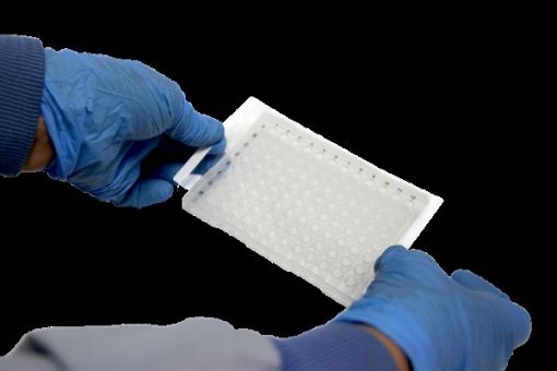Picture of Standard PCR Film, 100 per pack