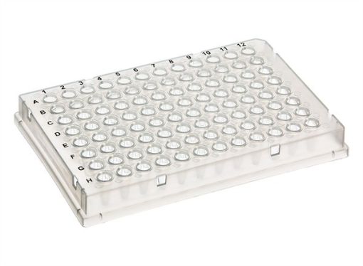 Picture of 96-Well PCR Plate, Full-Skirt, 0.1mL, Clear, 10 per pack