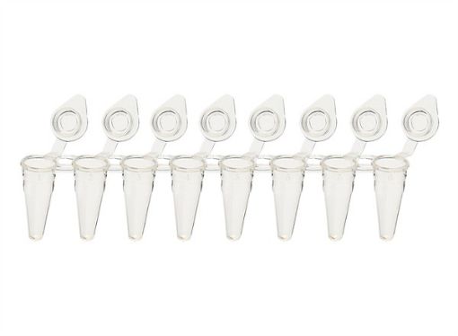 Picture of 8-Strip Low-Profile Tubes with Individually-Attached Flat Caps, Clear, 120 strips per pack