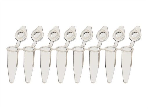 Picture of 8-Strip Tubes with Individually-Attached Dome Caps, Clear, 120 strips per pack