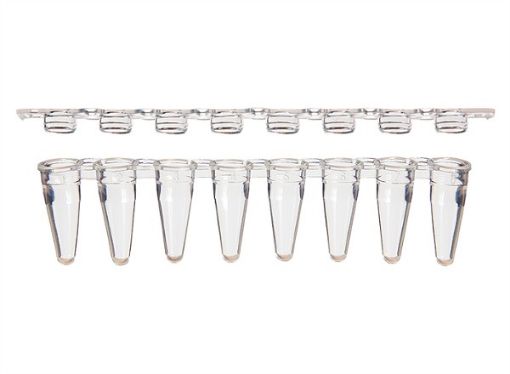 Picture of Combo Pack 8-Strip Low-Profile (0.1mL) PCR Tubes & Clear Flat Caps, 125 strips per pack