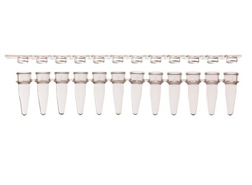 Picture of Combo Pack 12-strip PCR Tubes & Flat, Optically-Clear Caps, 80 strips per pack