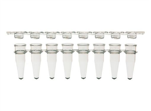Picture of Combo Pack 8-Strip PCR Tubes & Flat Caps, Clear, 125 strips per pack