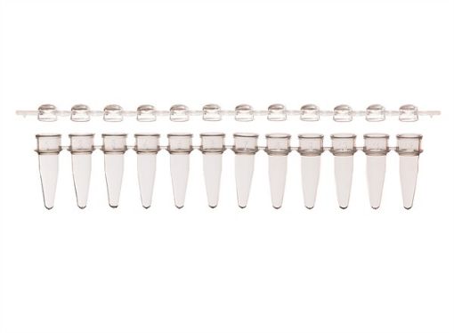 Picture of Combo Pack 12-strip PCR Tubes & Dome Caps, Clear, 80 strips per pack