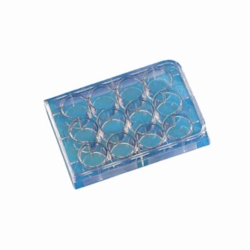 Picture of Costar 12-well Multiple Well Plates, Clear TC-treated, Individually Wrapped, Sterile, 50 per carton