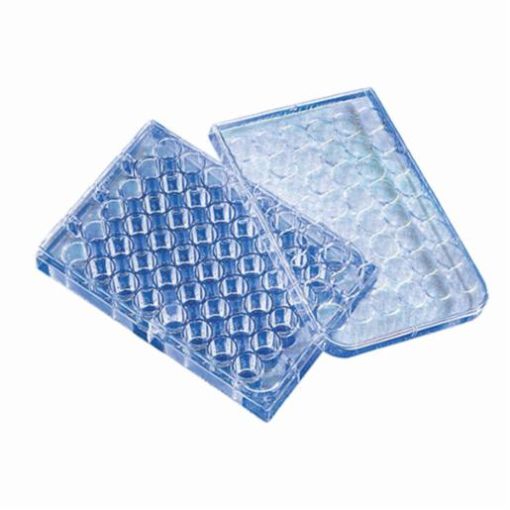 Picture of Corning Microplate 48-Well, Clear, Flat Bottom, TC Treated, Individually Packaged, Sterile, 100 per carton