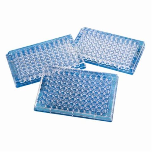 Picture of Corning Microplate 96-Well, Clear, Flat Bottom, TC Treated, Lid Included, Individually Packaged, Sterile, 100 per carton
