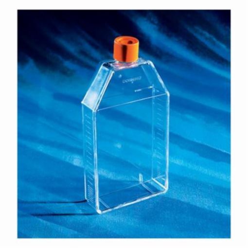 Picture of Corning Cell Culture Flask 175cm², U- Shape, TC Treated, Angled Neck, Vented Cap, Sterile, 50 per carton