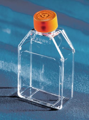 Picture of Corning Cell Culture Flask, 25cm2, Canted Neck, Vent Cap, Sterile, Pack of 200
