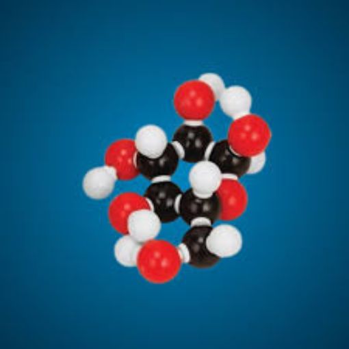 Picture of Model, Molecular Set, Glucose