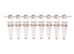 Picture of Combo Pack 8-Strip PCR Tubes & Dome Caps, Clear, 125 strips per pack